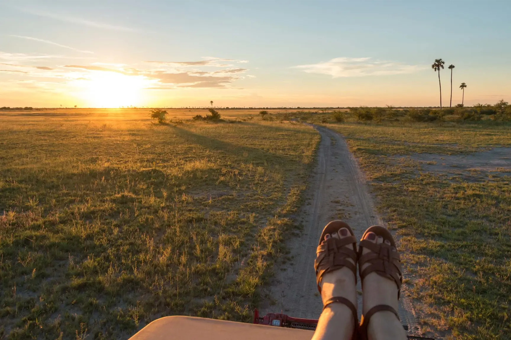 Jacks Camp Kruger National Park safari (10)
