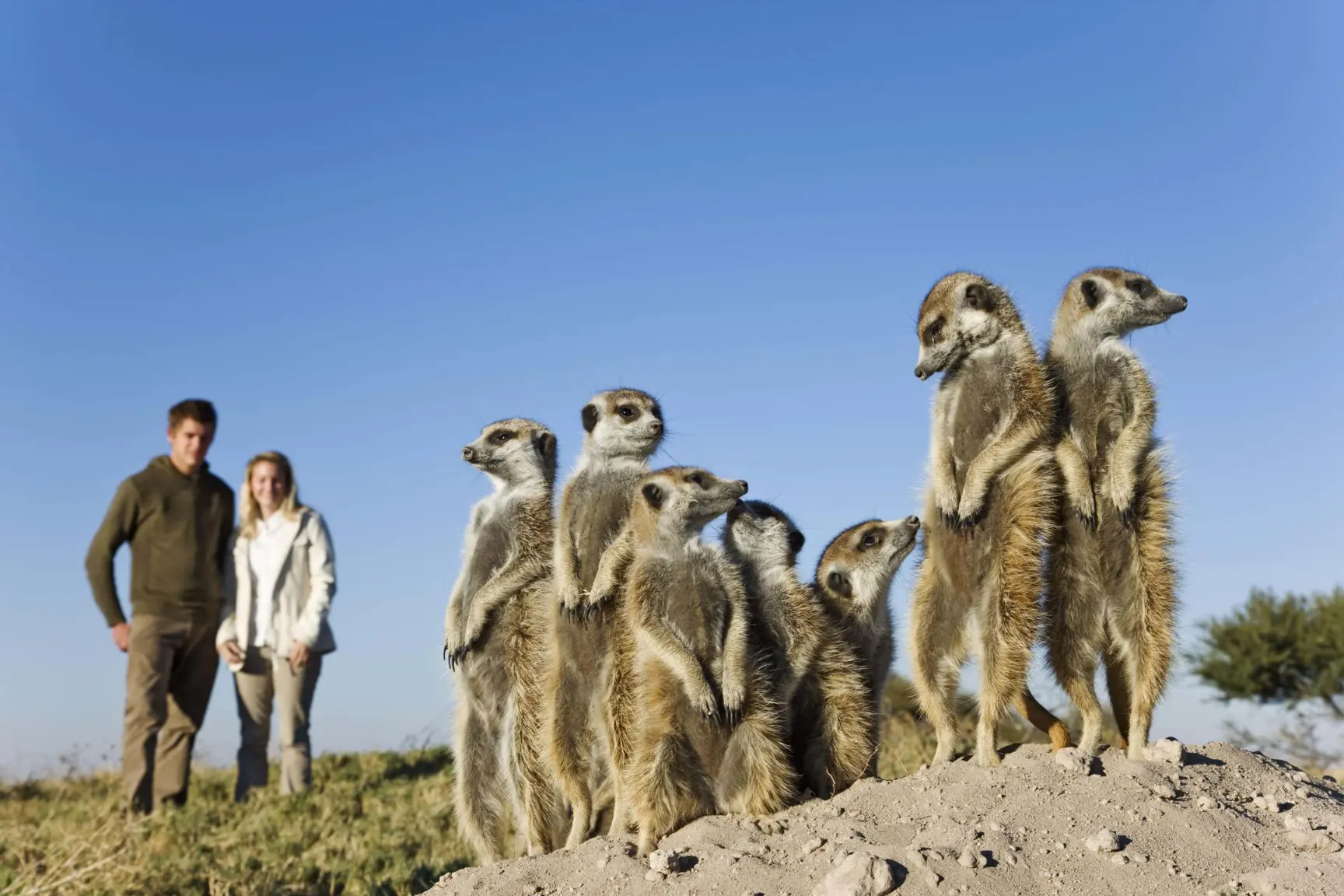 Jacks Camp Kruger National Park safari (19)