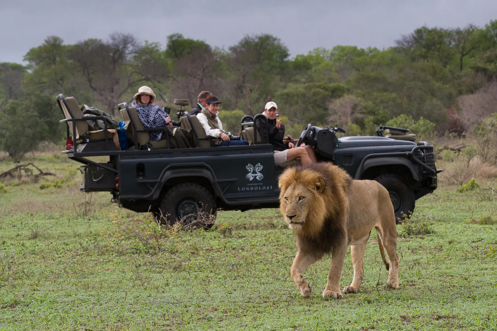 Londolozi Founders Camp Kruger National Park safari (18)