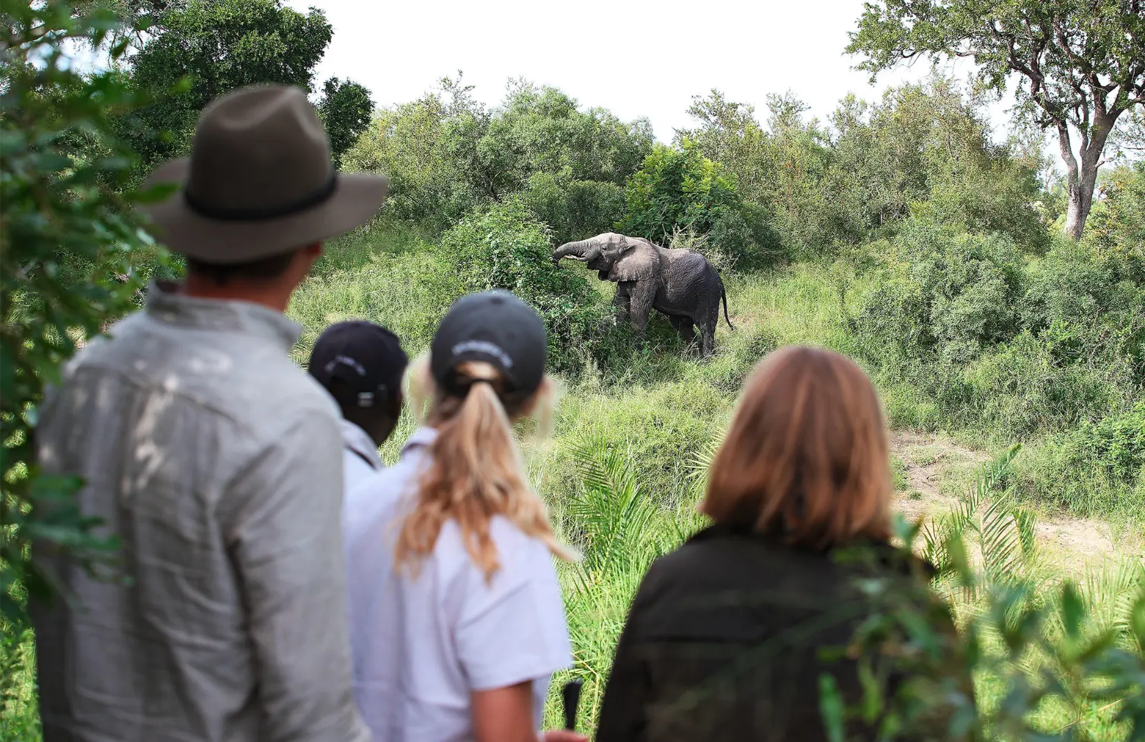 Londolozi Founders Camp Kruger National Park safari (9)