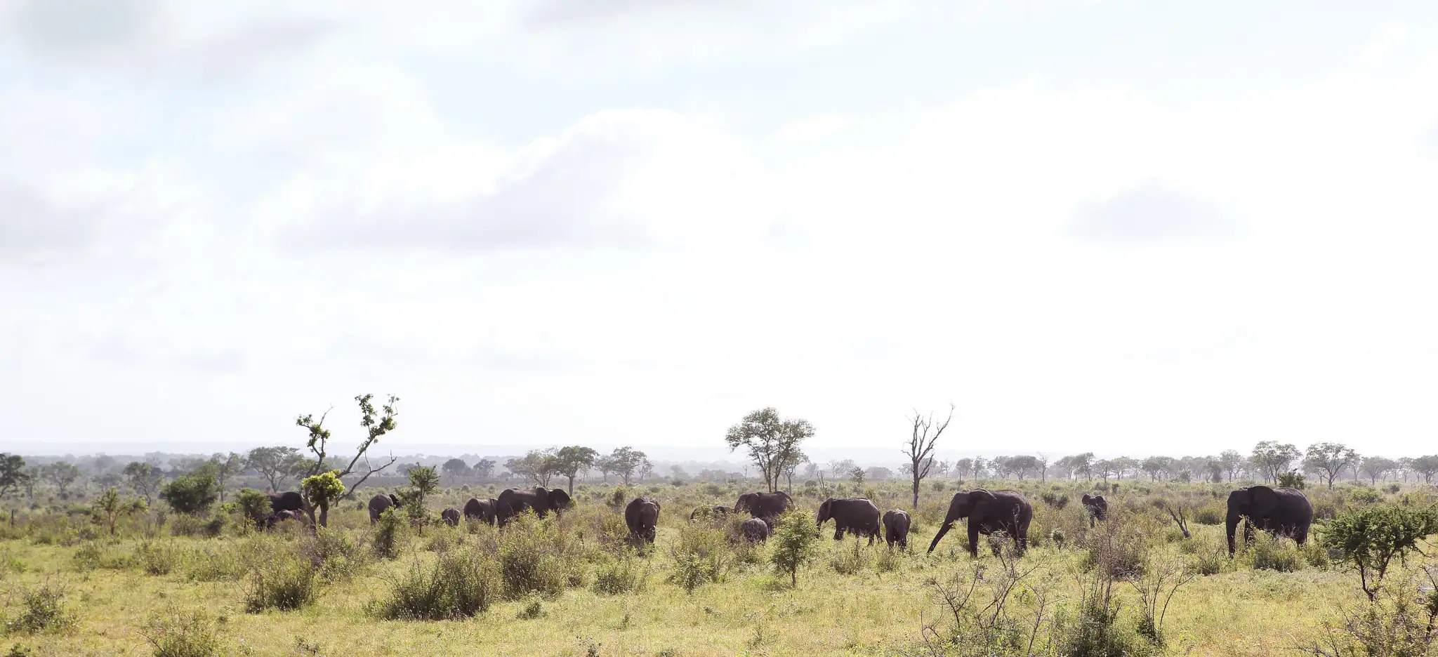 Londolozi Private Granite Suites Kruger National Park to Cape Town (4)