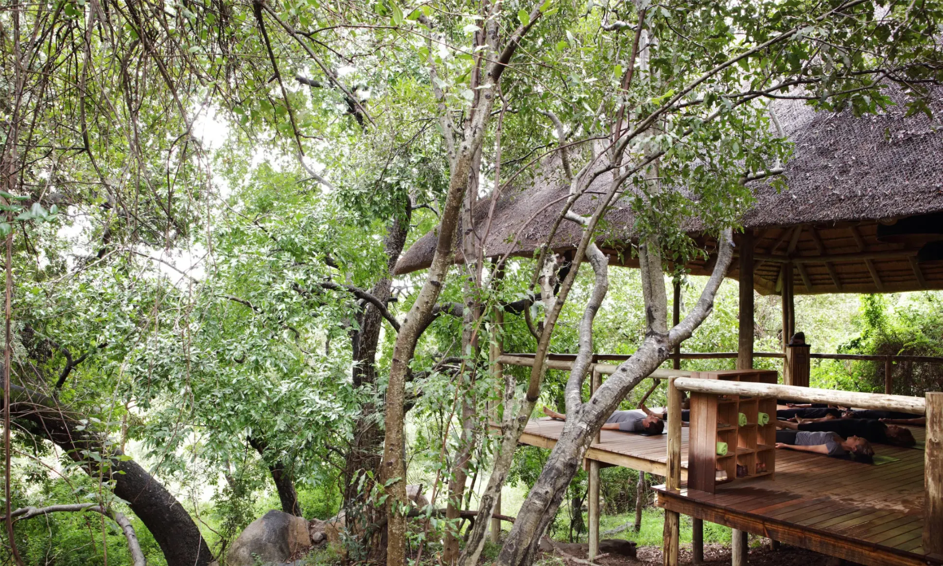 Londolozi Tree Camp Cape to Cairo (14)