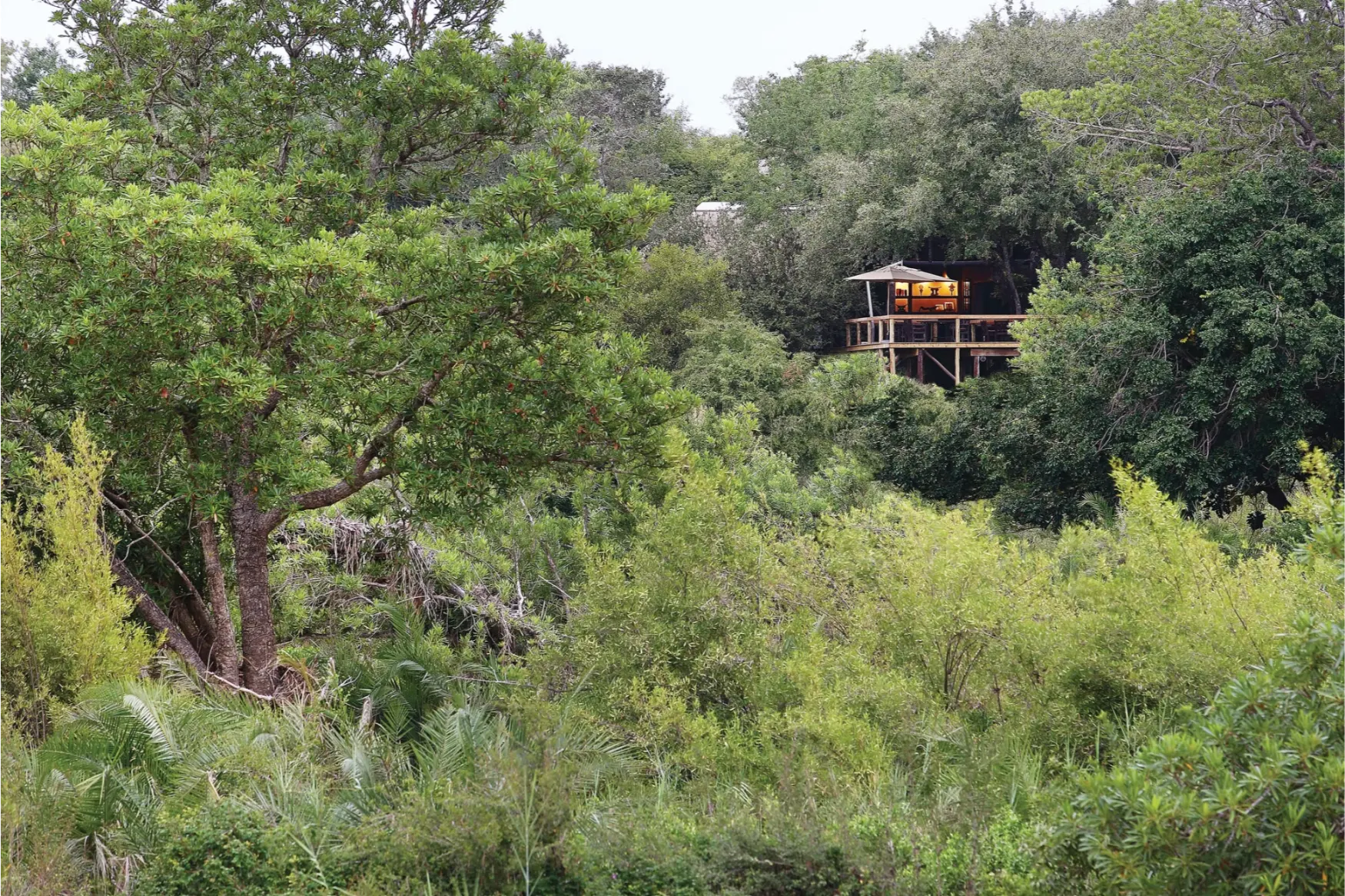 Londolozi Tree Camp Cape to Cairo (18)