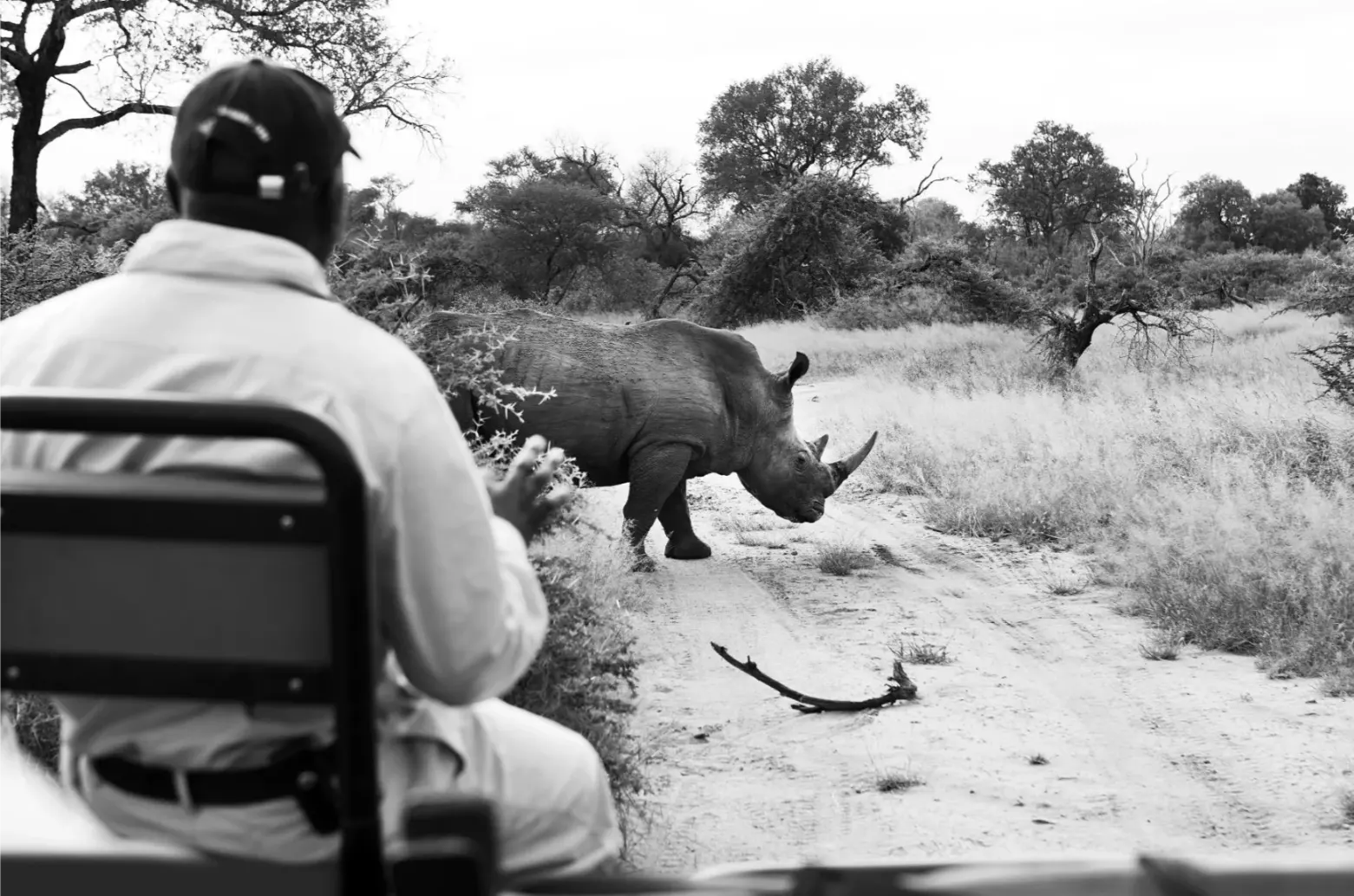 Londolozi Tree Camp Cape to Cairo (4)