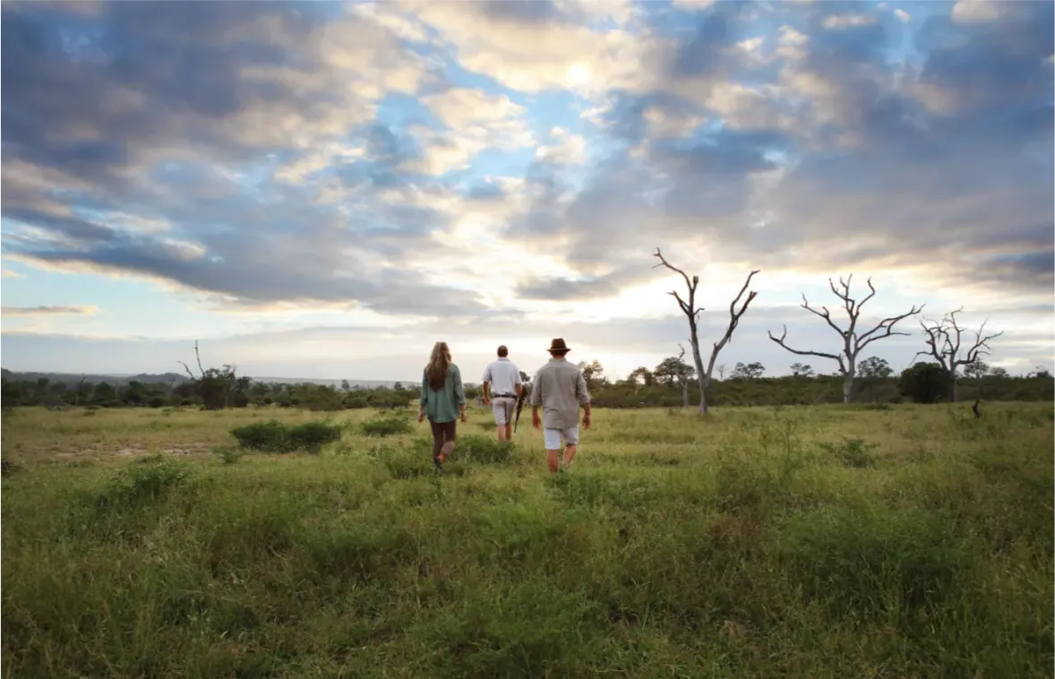 Londolozi Tree Camp Cape to Cairo (6)