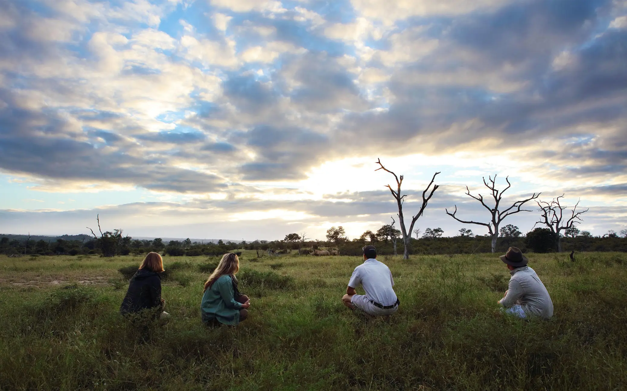 Londolozi Tree Camp Sabi Sand Nature Reserve (5)