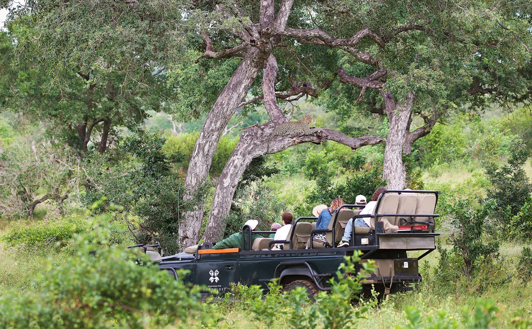 Londolozi Tree Camp Sabi Sand Nature Reserve (6)