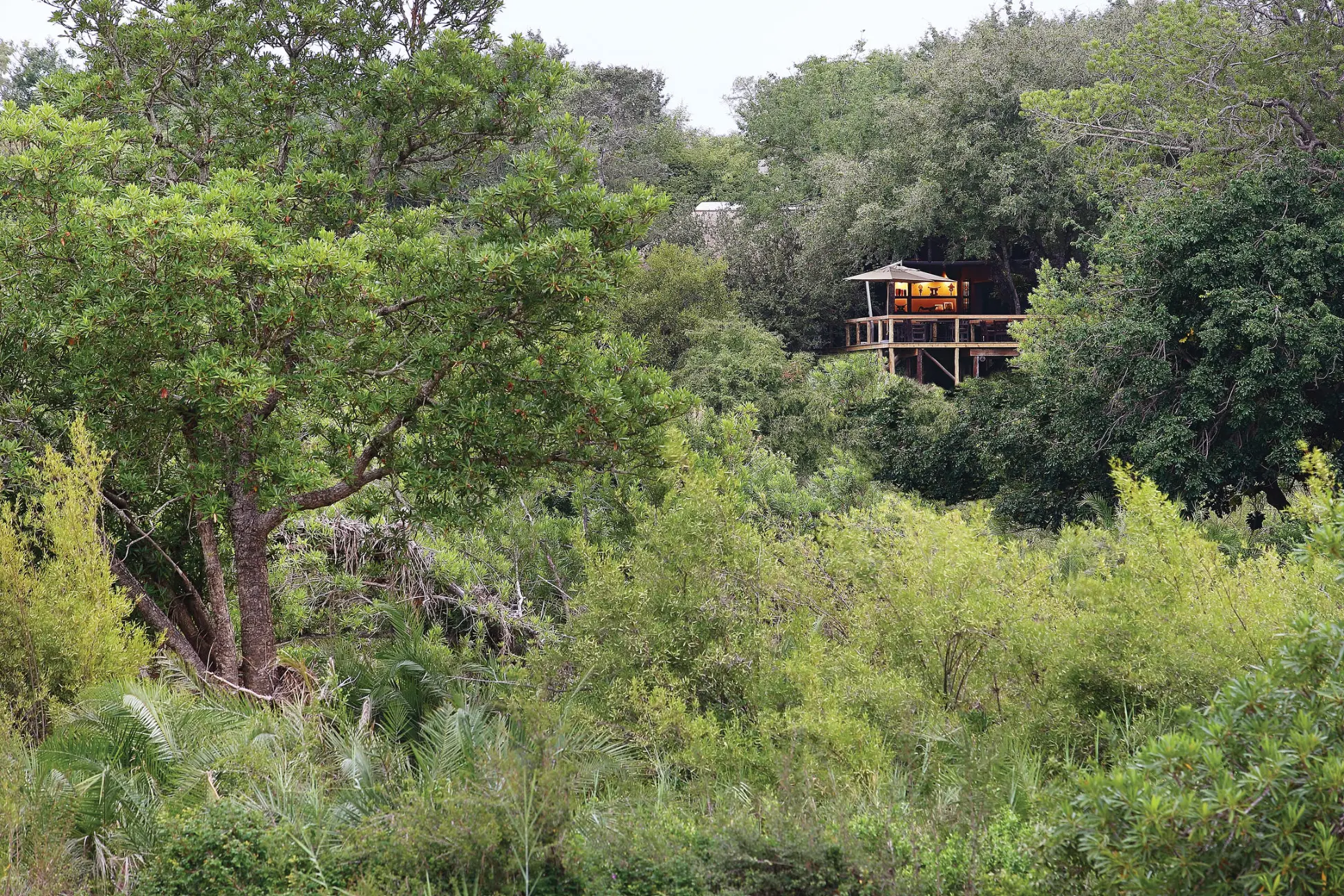 Londolozi Tree Camp Sabi Sand Nature Reserve (8)