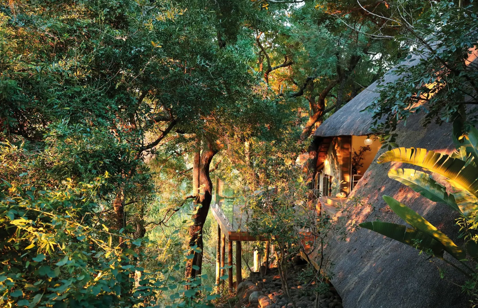 Londolozi Tree Camp gorilla trekking Rwanda (10)