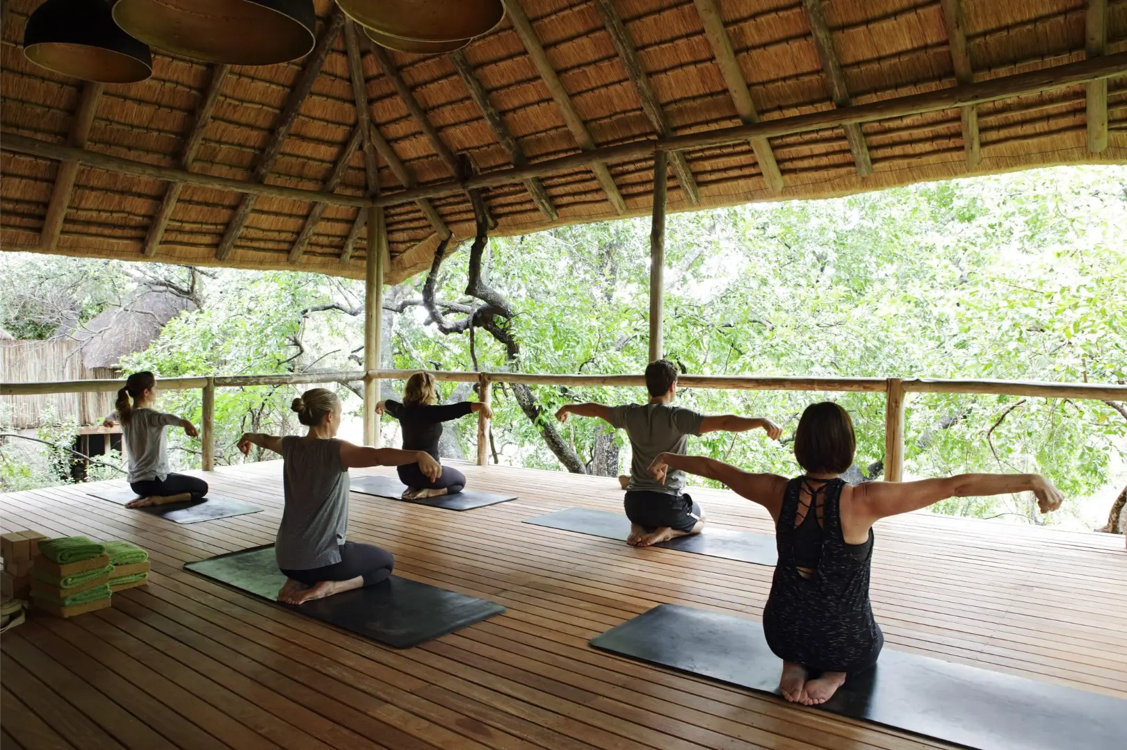 Londolozi Tree Camp gorilla trekking Rwanda (12)