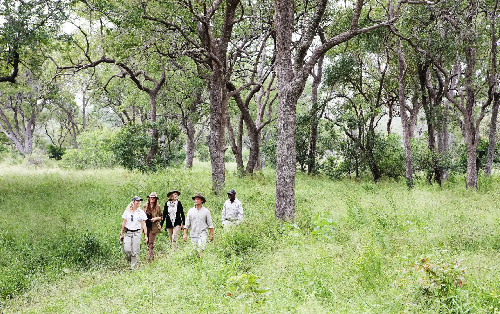 Londolozi Tree Camp gorilla trekking Rwanda (15)