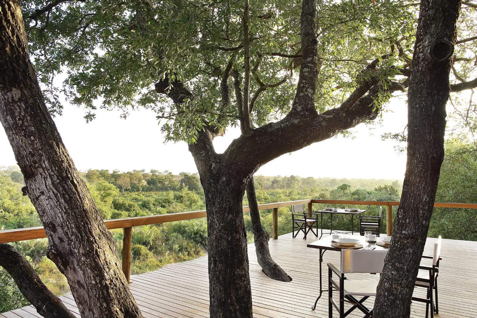 Londolozi Tree Camp gorilla trekking Rwanda (19)