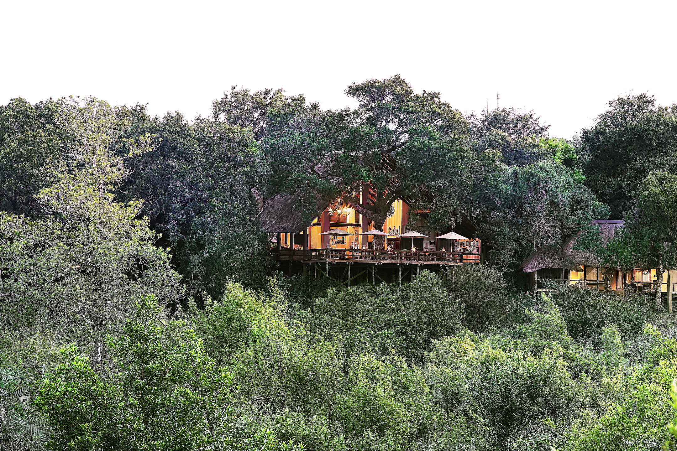Londolozi Varty Camp African safari holiday (11)