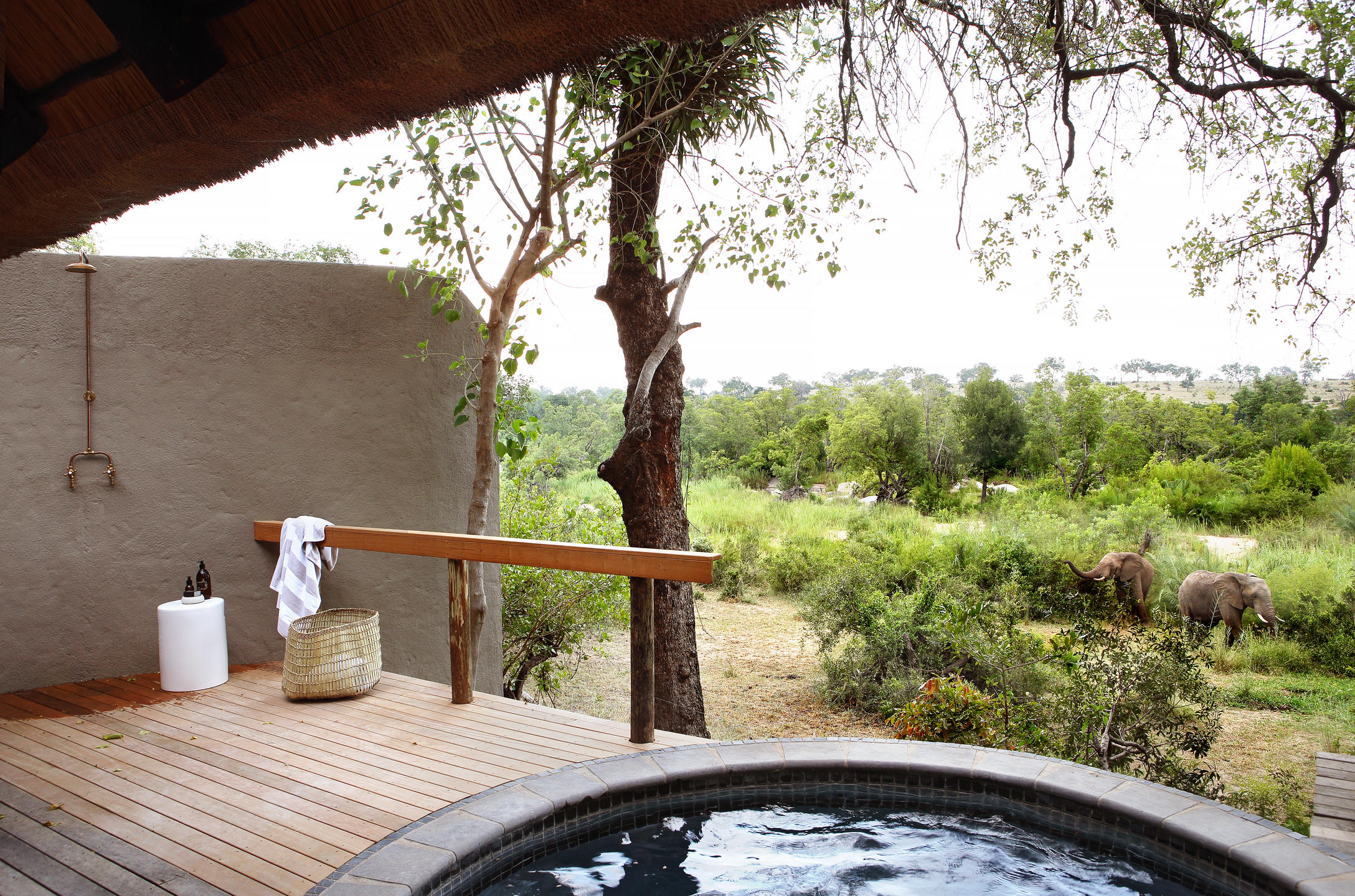 Londolozi Varty Camp African safari holiday (18)