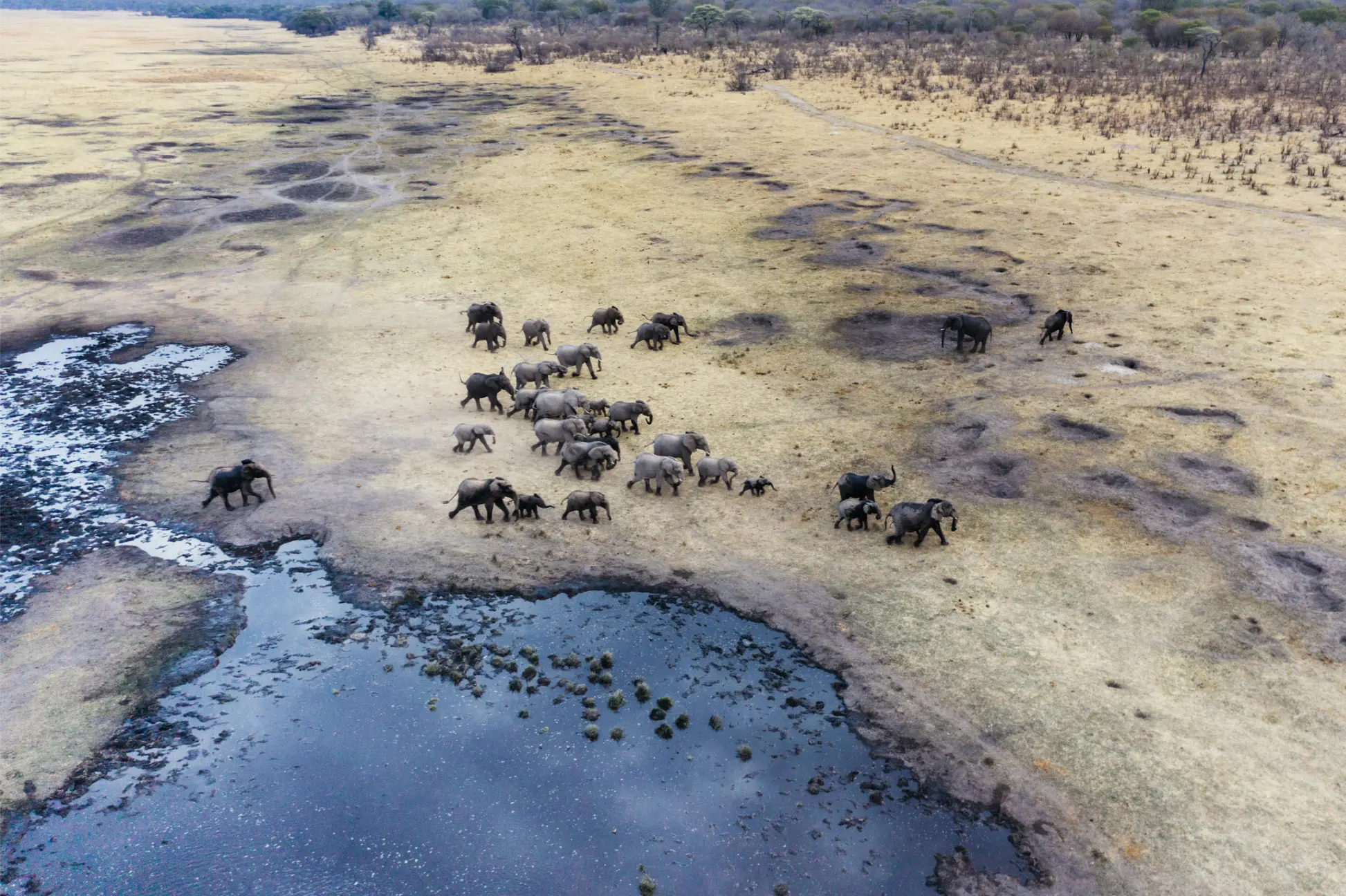 Matetsi Victoria Falls Zambezi River Sabi Sand Safari (8)