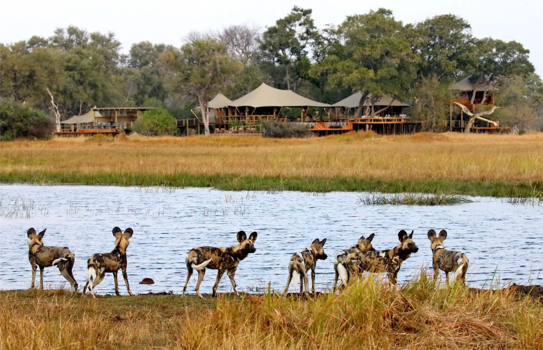 Tuludi Cape Town to Kruger National Park (10)