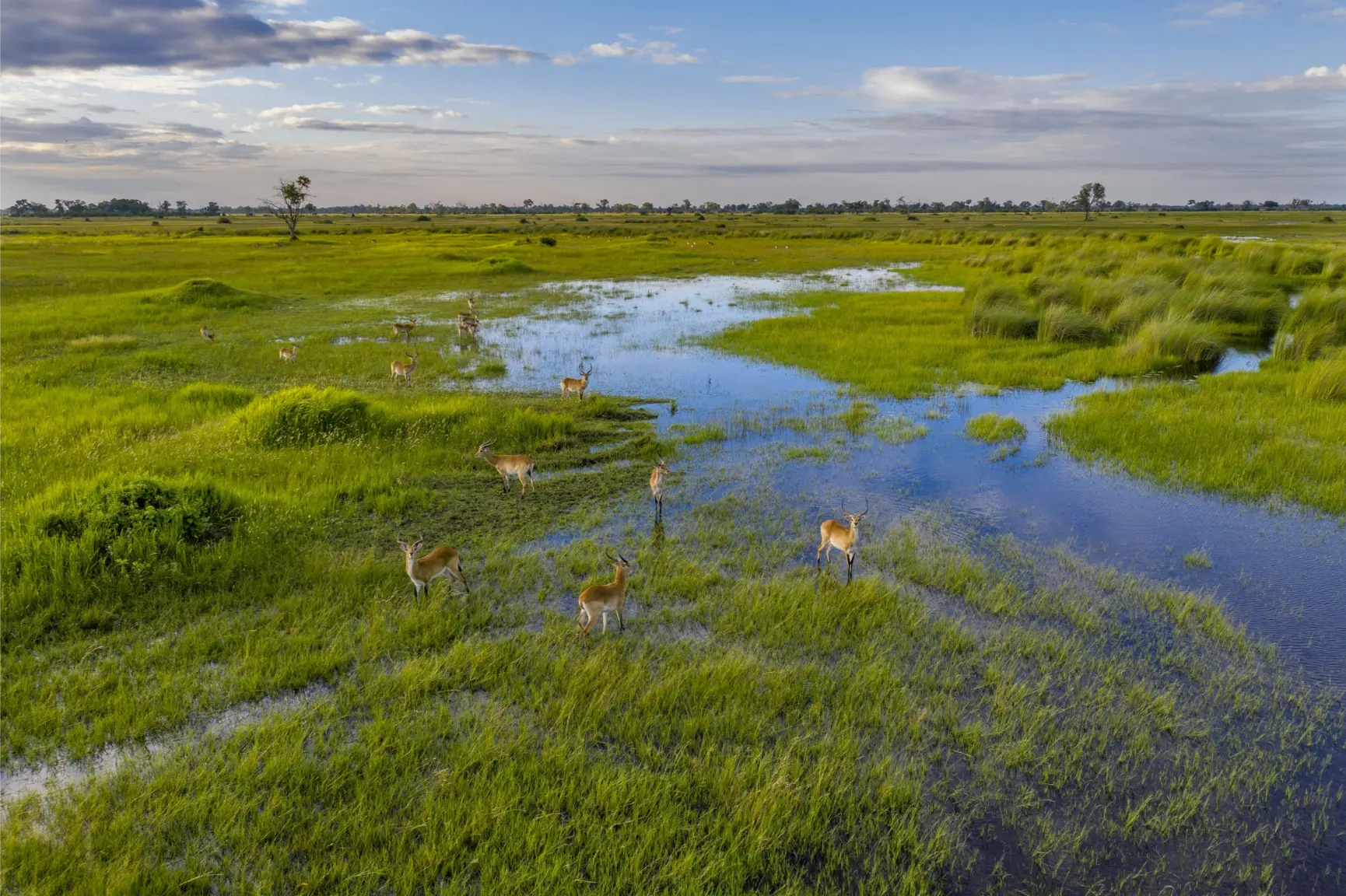 Tuludi Cape Town to Kruger National Park (17)