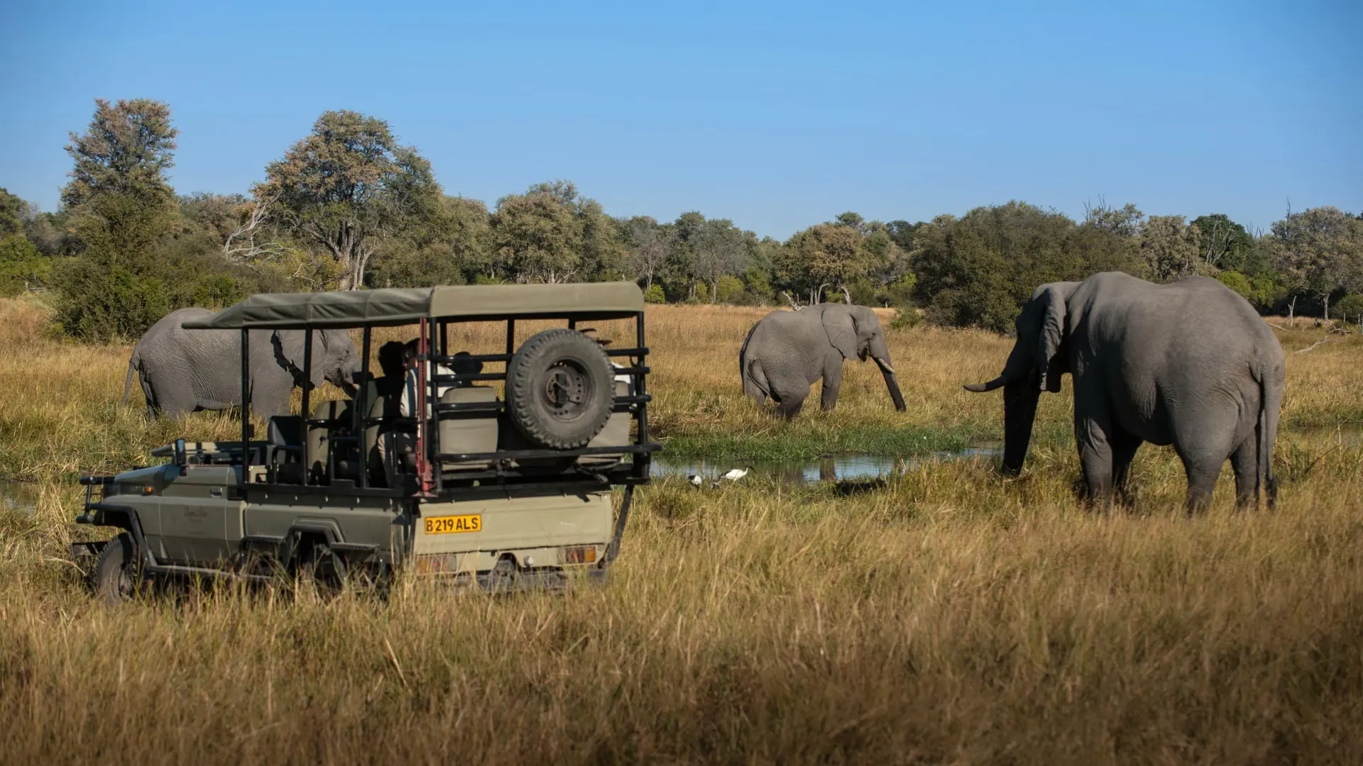 Tuludi Cape Town to Kruger National Park (2)