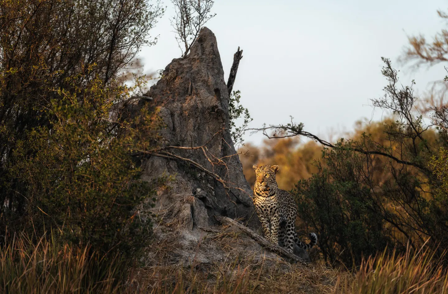 Tuludi Cape Town to Kruger National Park (4)