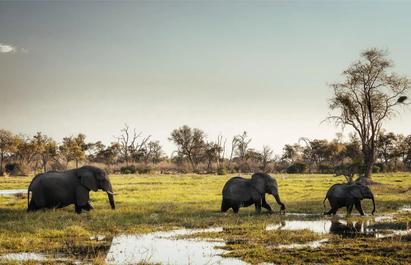 Tuludi Cape Town to Kruger National Park (5)