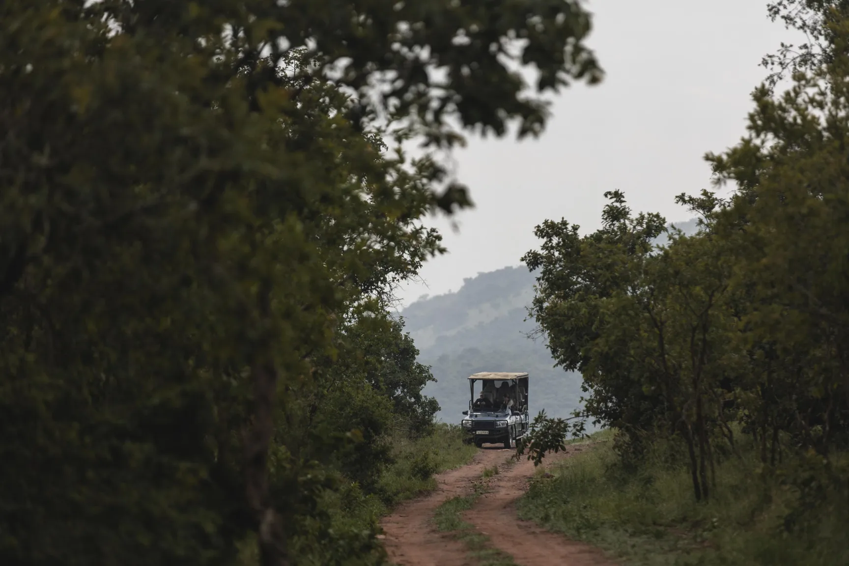 Wilderness Magashi Peninsula gorilla trekking Rwanda (16)