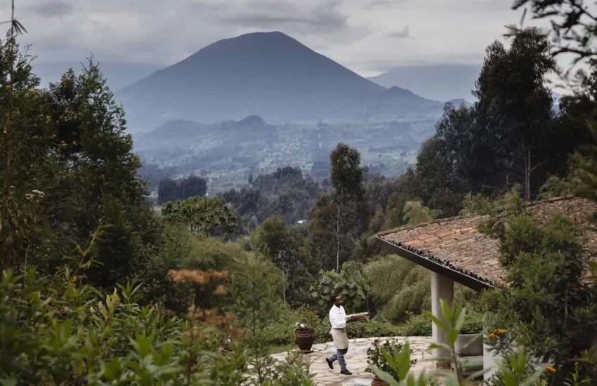 Rwanda gorilla safari Wilderness Sabyinyo Volcanoes National Park PHOTO CREDIT WETU (1)