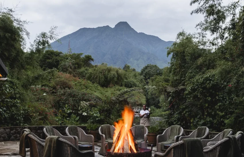 Rwanda gorilla safari Wilderness Sabyinyo Volcanoes National Park PHOTO CREDIT WETU (3)
