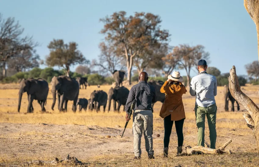 luxury family safari Wilderness Linkwasha Eastern Hwange National Park PHOTO CREDIT WETU (13)