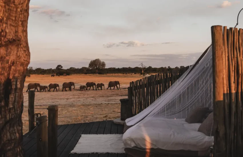 luxury family safari Wilderness Linkwasha Eastern Hwange National Park PHOTO CREDIT WETU (18)