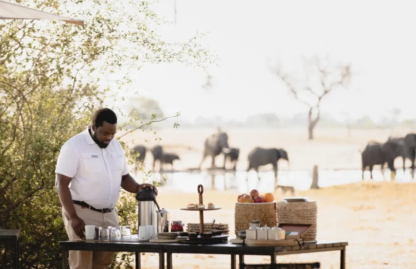 luxury family safari Wilderness Linkwasha Eastern Hwange National Park PHOTO CREDIT WETU (2)