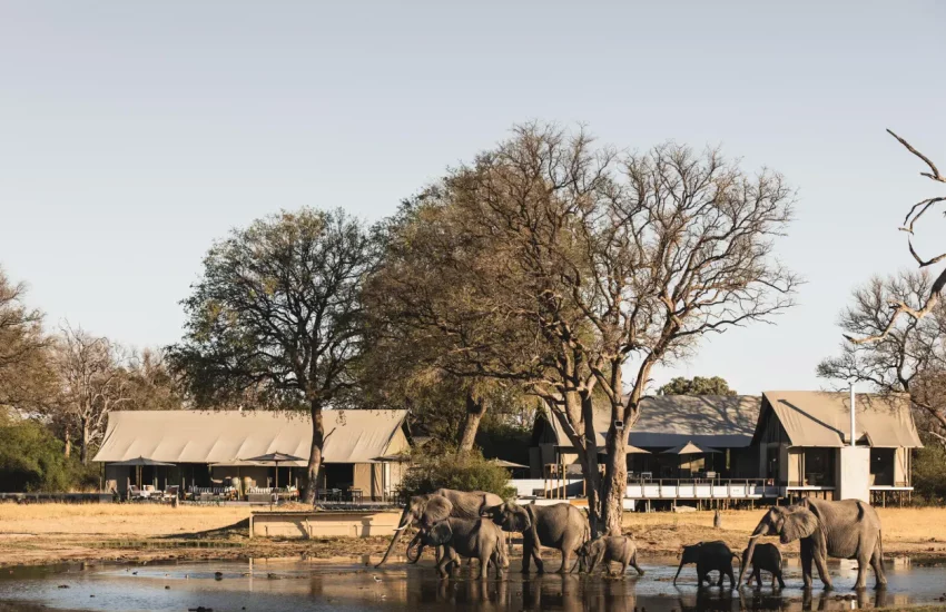 luxury family safari Wilderness Linkwasha Eastern Hwange National Park PHOTO CREDIT WETU (20)