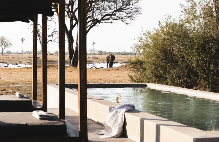 luxury family safari Wilderness Linkwasha Eastern Hwange National Park PHOTO CREDIT WETU (21)