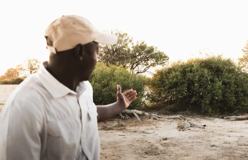 luxury family safari Wilderness Linkwasha Eastern Hwange National Park PHOTO CREDIT WETU (3)